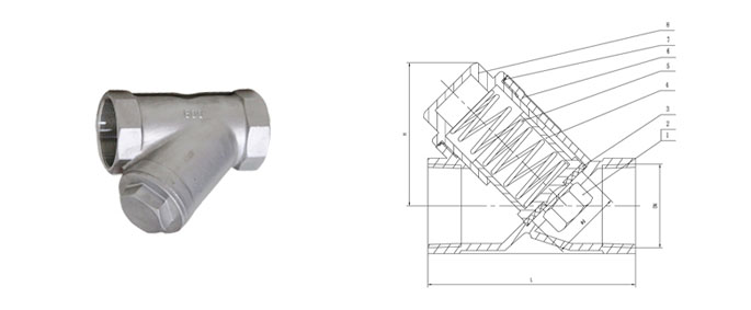 Y check valve